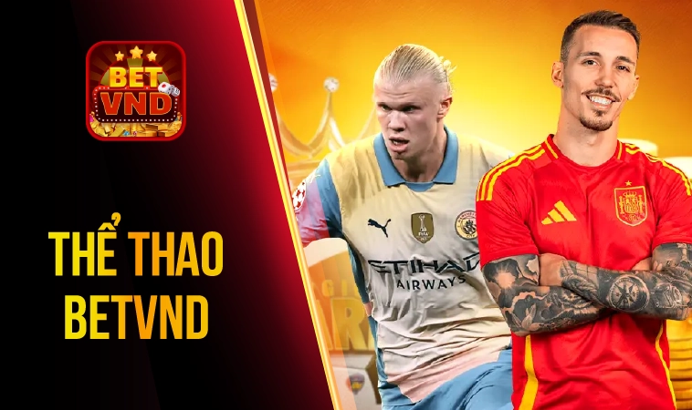 BETVND - Nhà Cái BET VND - Trang Chủ Cá Cược Casino Trực Tuyến Số 1 VN